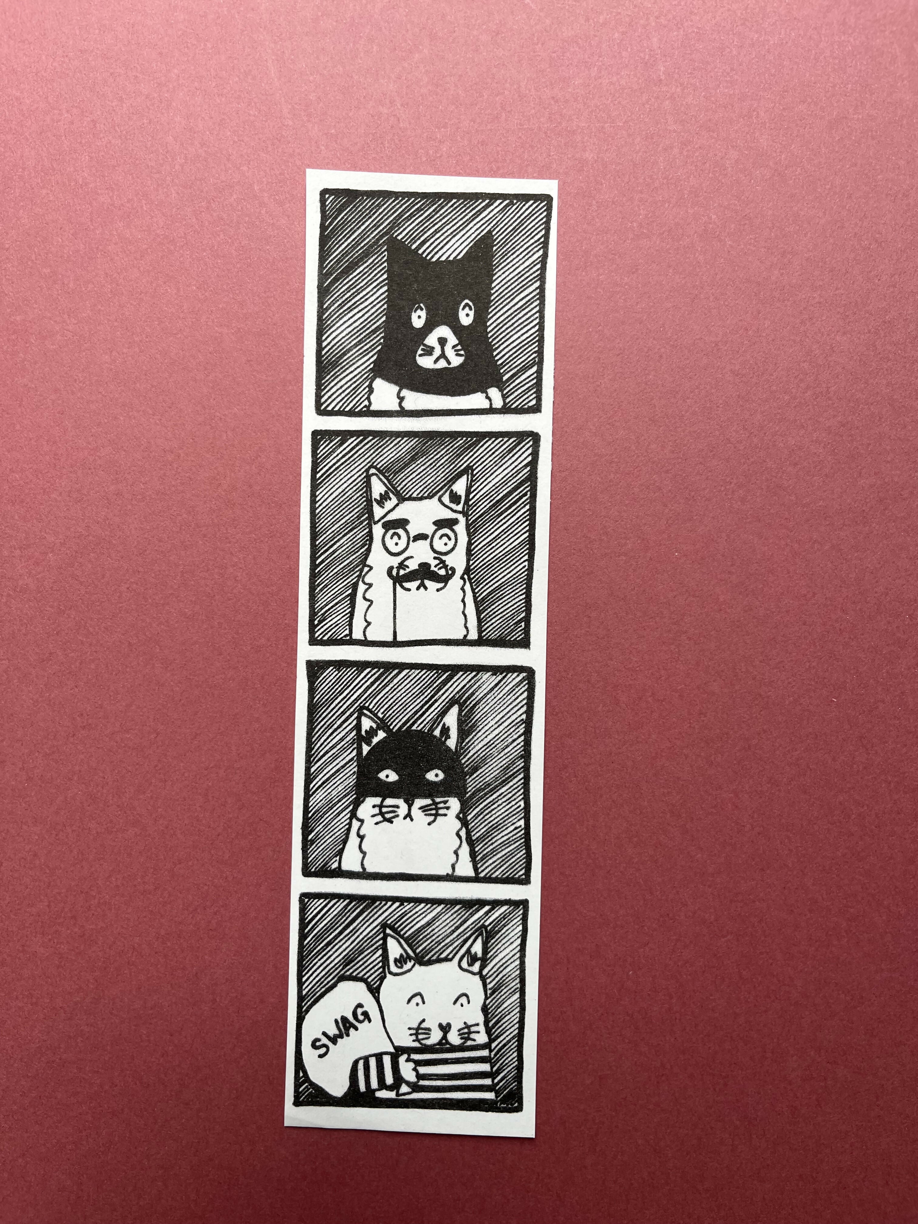 Photobooth Print - Cat Burglar