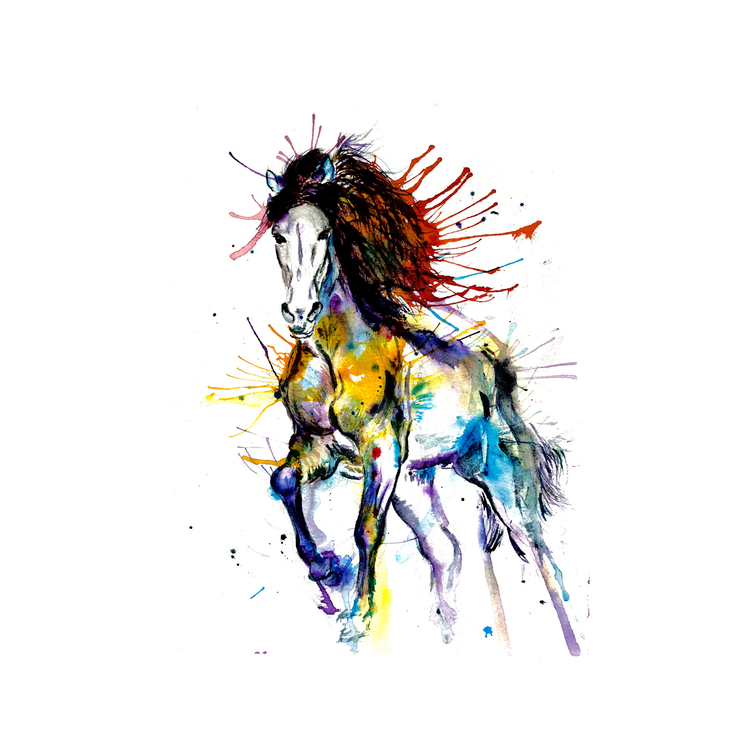 FINE ART PRINT OF MULTI-COLOUR HORSE, PART OF THE 'ANIMAL ART COLLECTION'