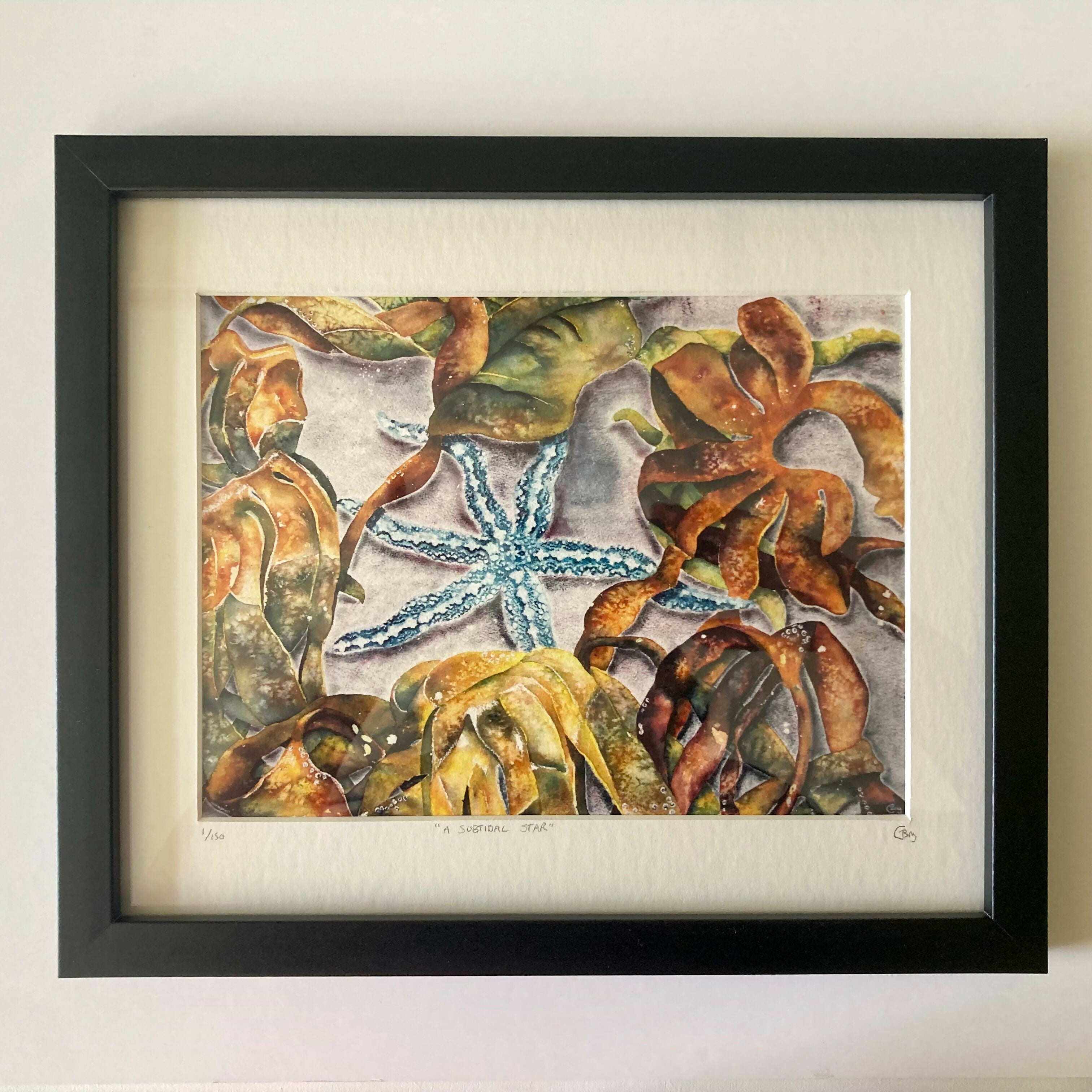 A subtidal Star - Print