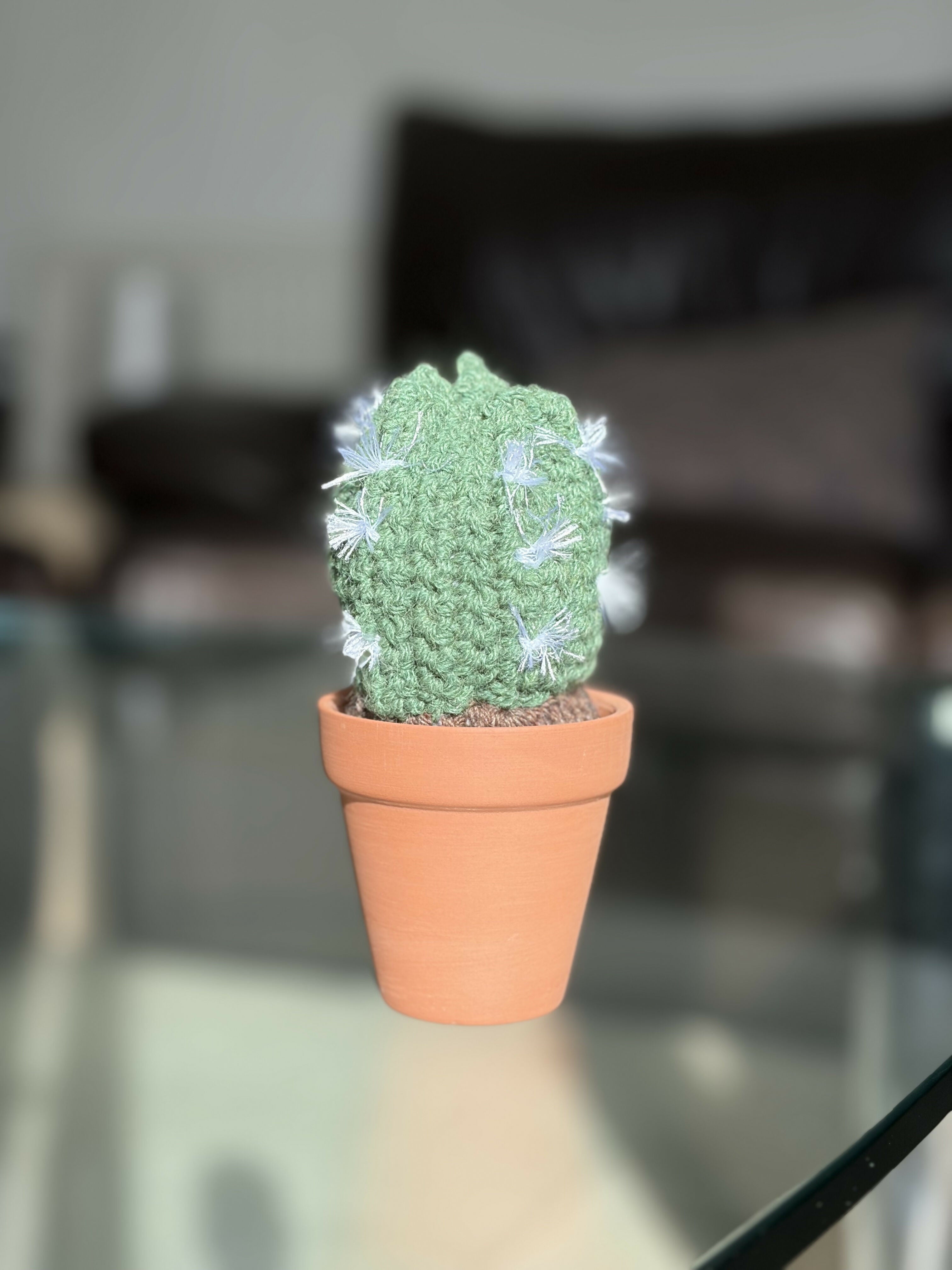 Crochet Potted Cactus
