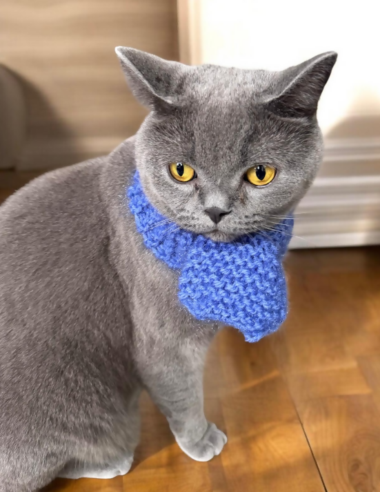 PET SCARF, COSY SHIMMERY BLUE - CAT OR SMALL DOG