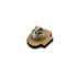 Scallop Shell Pin Badge