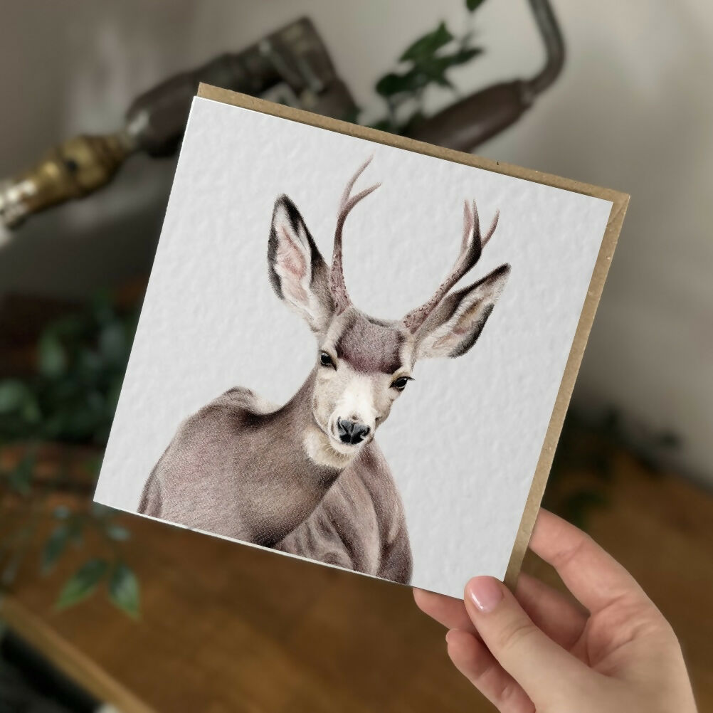 Mule Deer Greeting Card – Wildlife Art Card – Handmade Blank Card