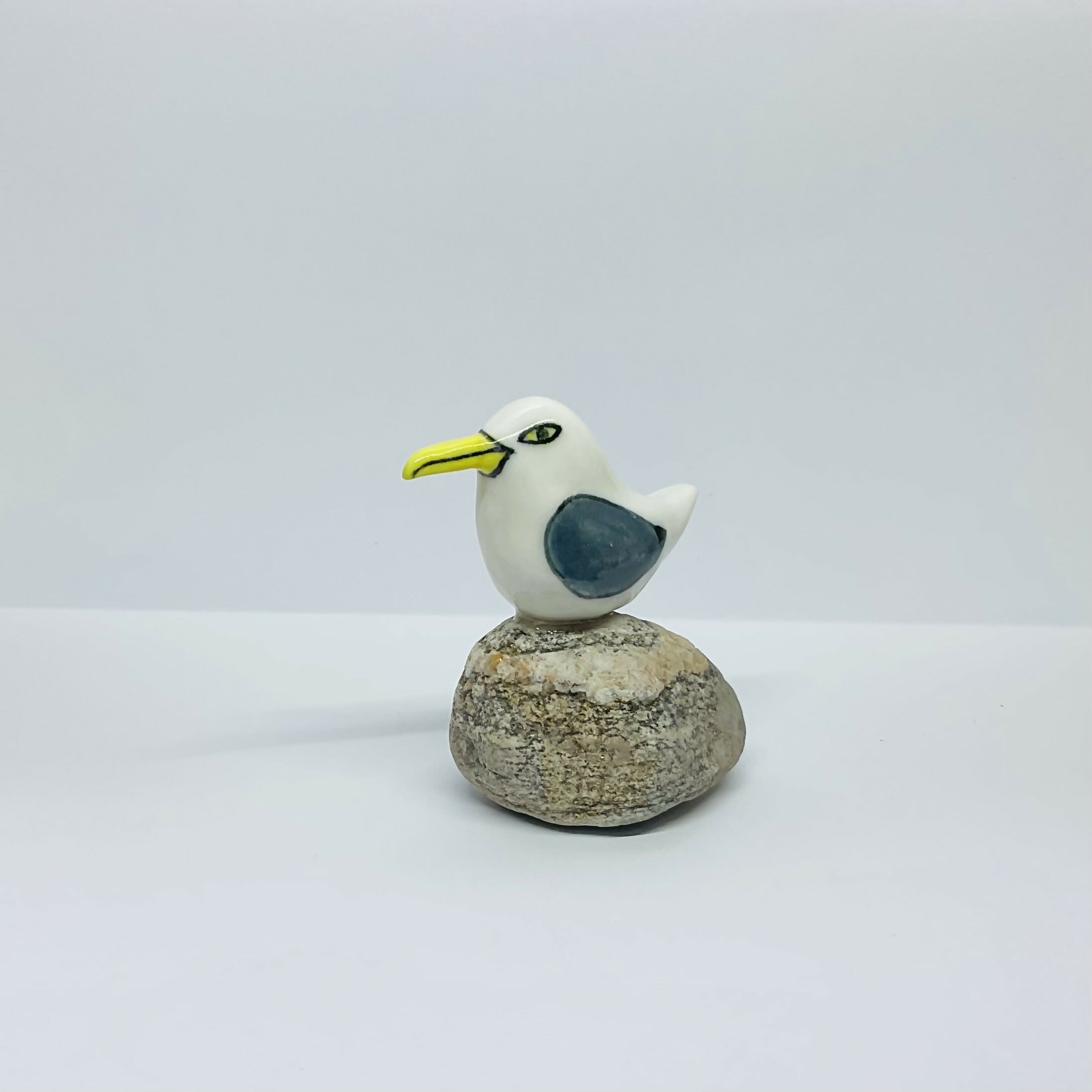 Seagull on Pebble