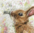 'Somebunny' Watercolour Wild Rabbit A5 Mounted Print