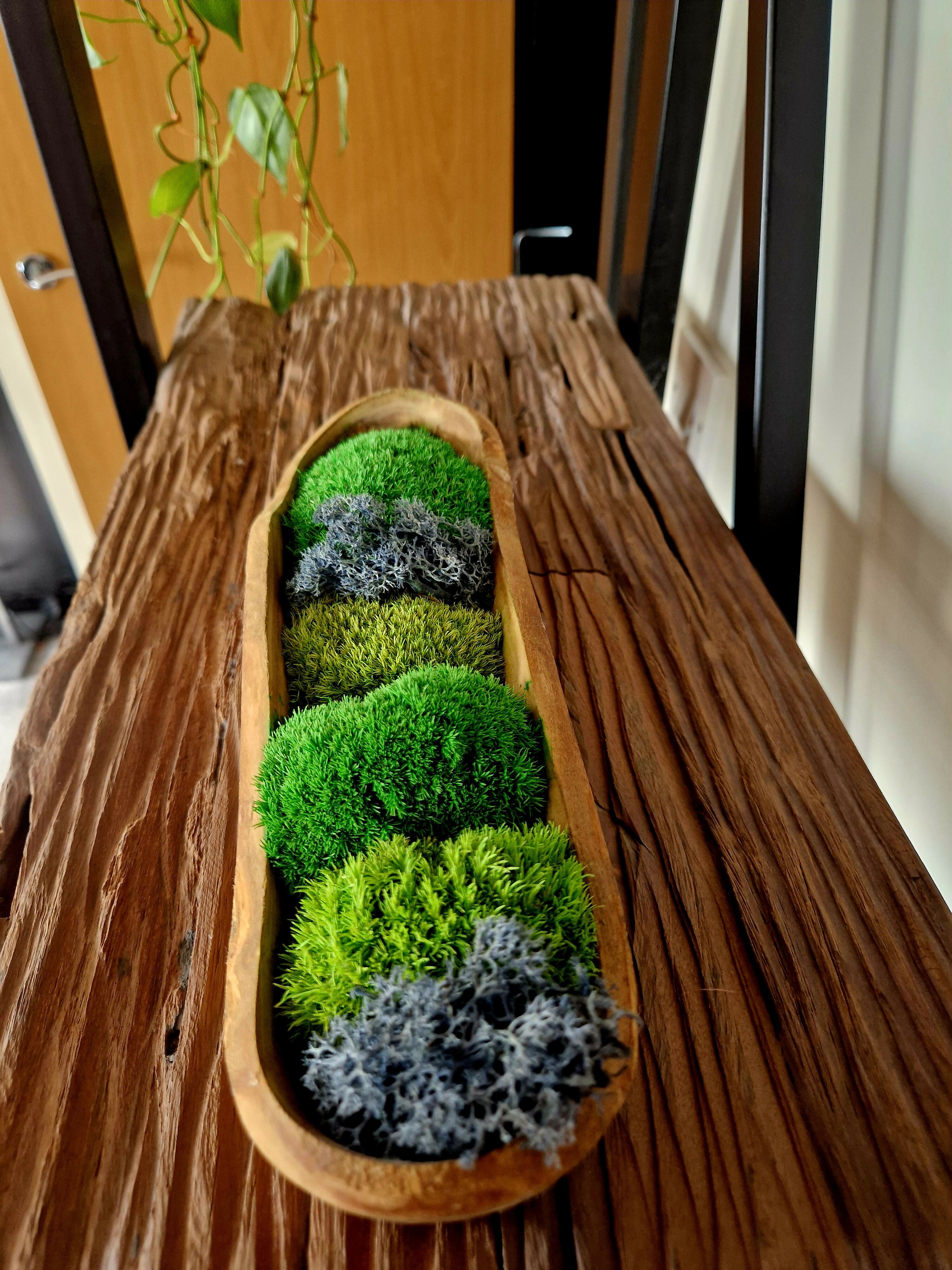 Natural Pillow Bun Moss Teak Bowl