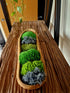 Natural Pillow Bun Moss Teak Bowl