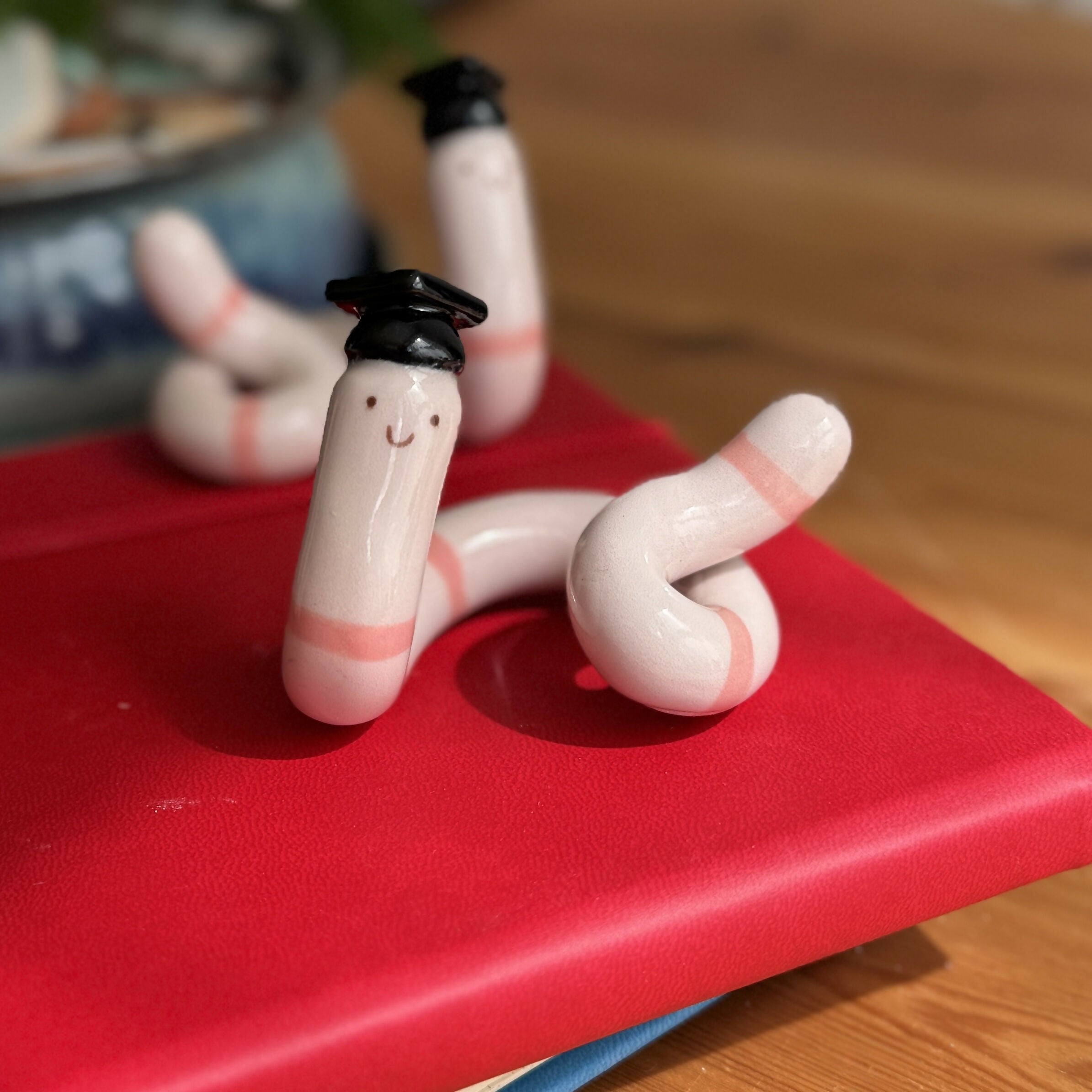 Graduation worm, Handmade Ceramic Ornament