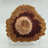 Hand Turned Natural Edged Winged Bowl made from Red Mallee Burr Wood