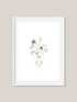 Spring Wildflowers 4 Art Print