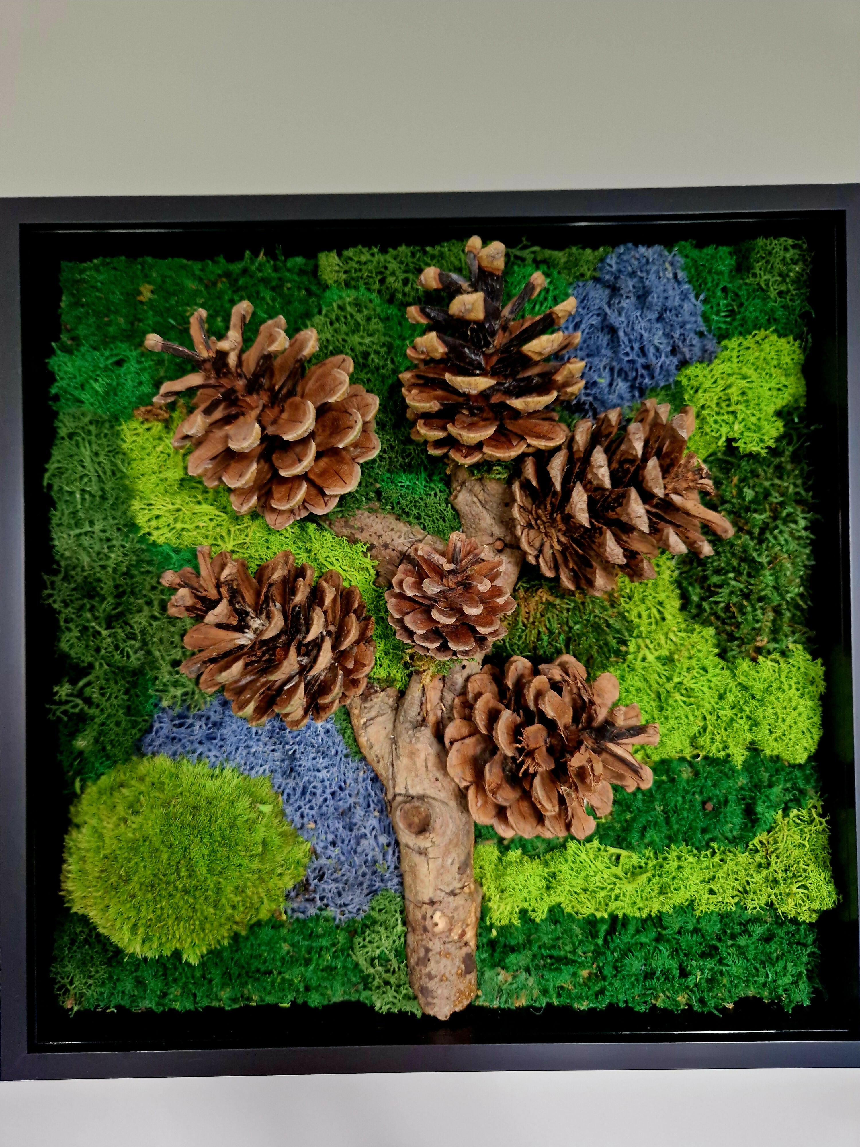 Tree Of Life