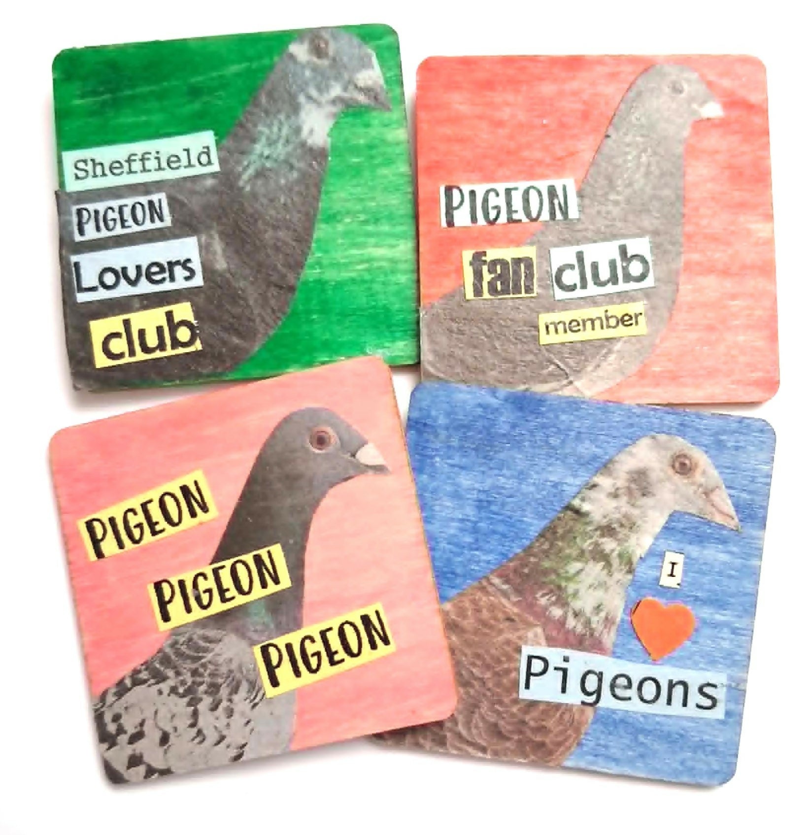 Pigeon Magnet - Random Design