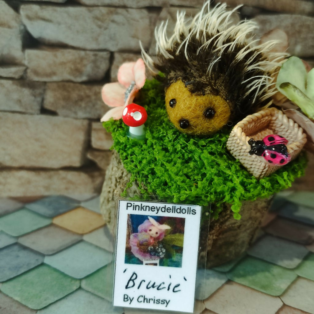 Brucie
