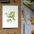 Jay and Acorn Greetings Card