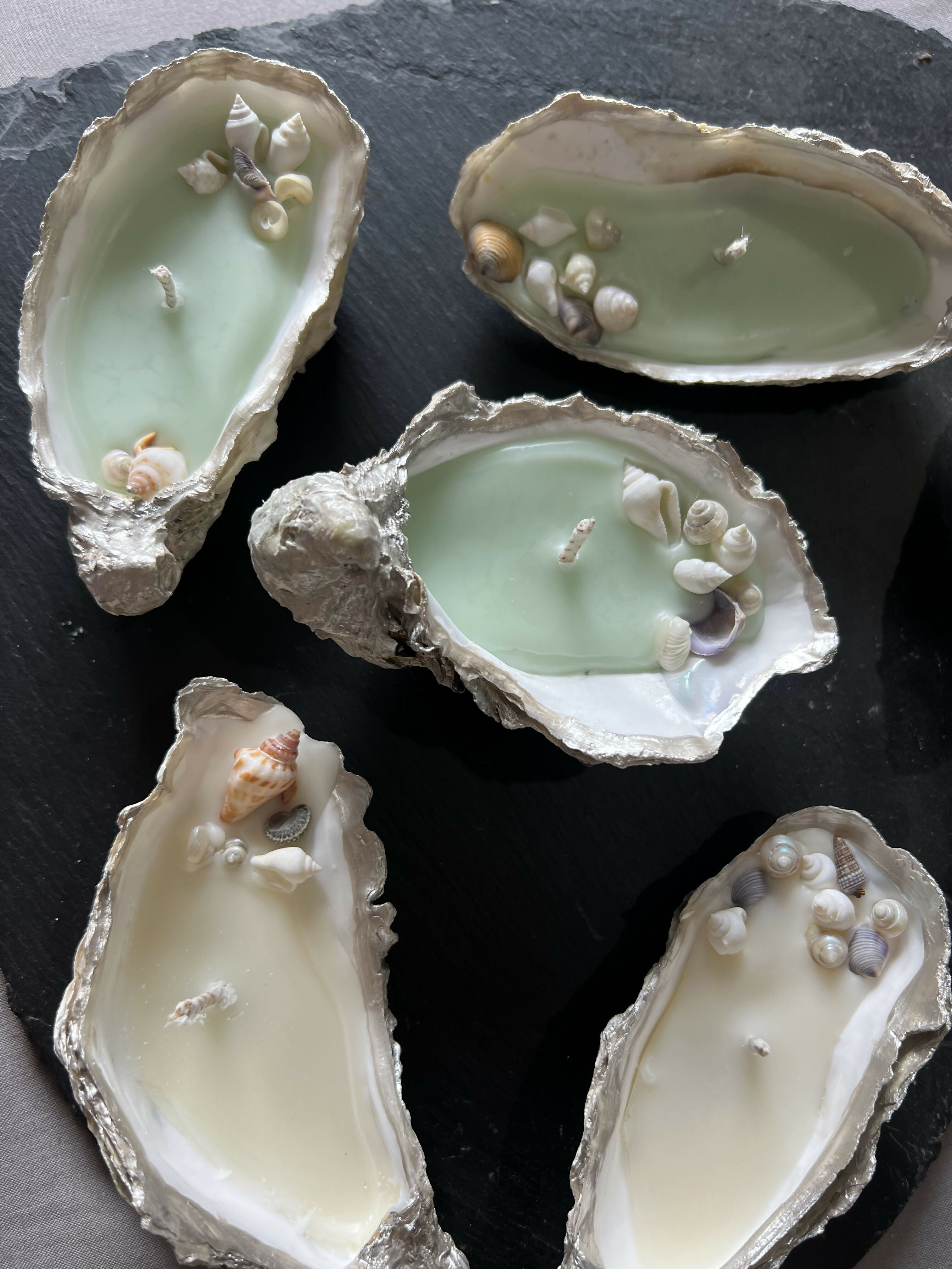 Oyster Shell Candle