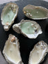 Oyster Shell Candle