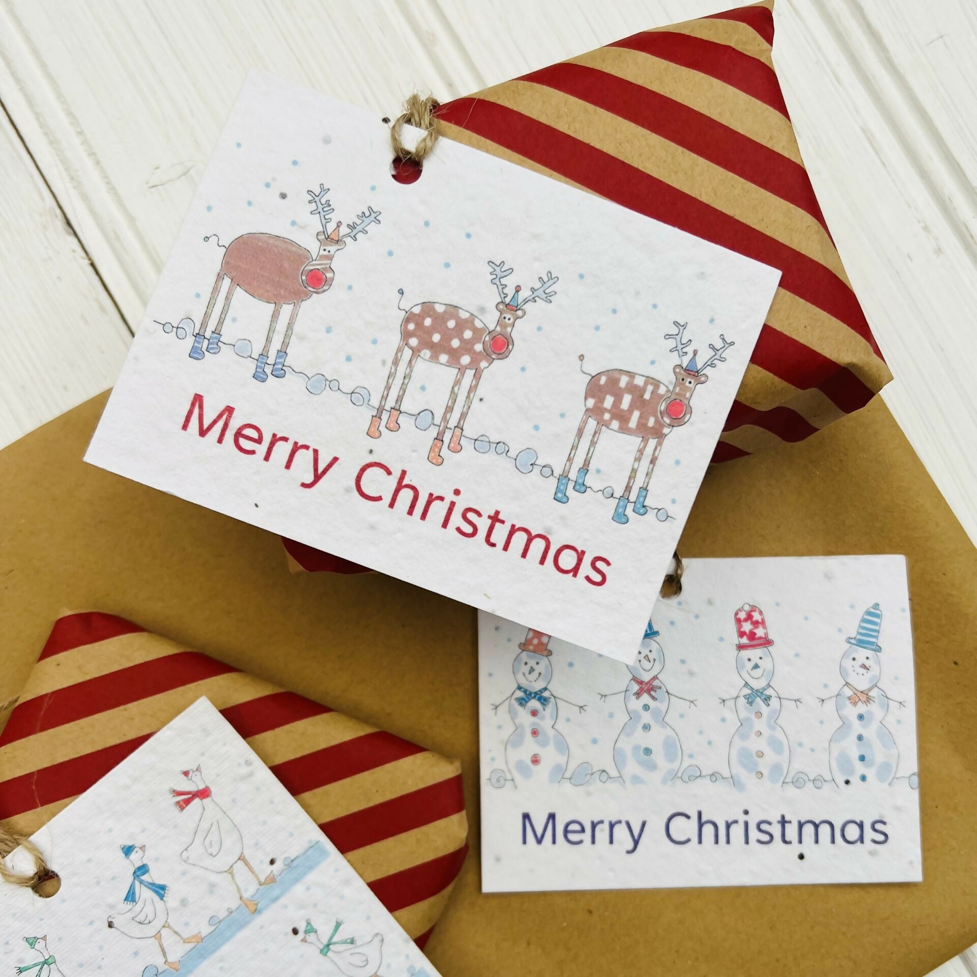 Set of 6 Christmas Seed Gift Tags - 'Friendly Reindeer' design