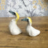 Small Ceramic Gannet