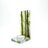 Summer Woodland Tall TeaLight