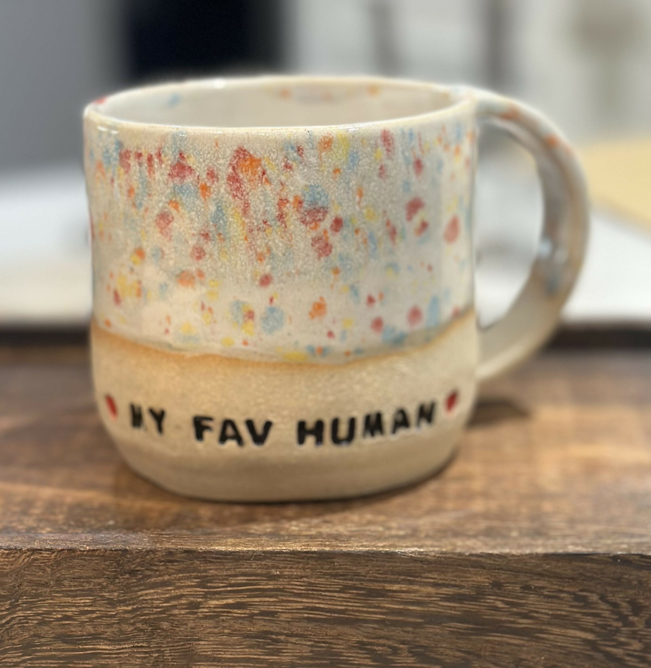 MY FAV HUMAN SPECKLE MUG