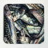 Mackerel - Coaster