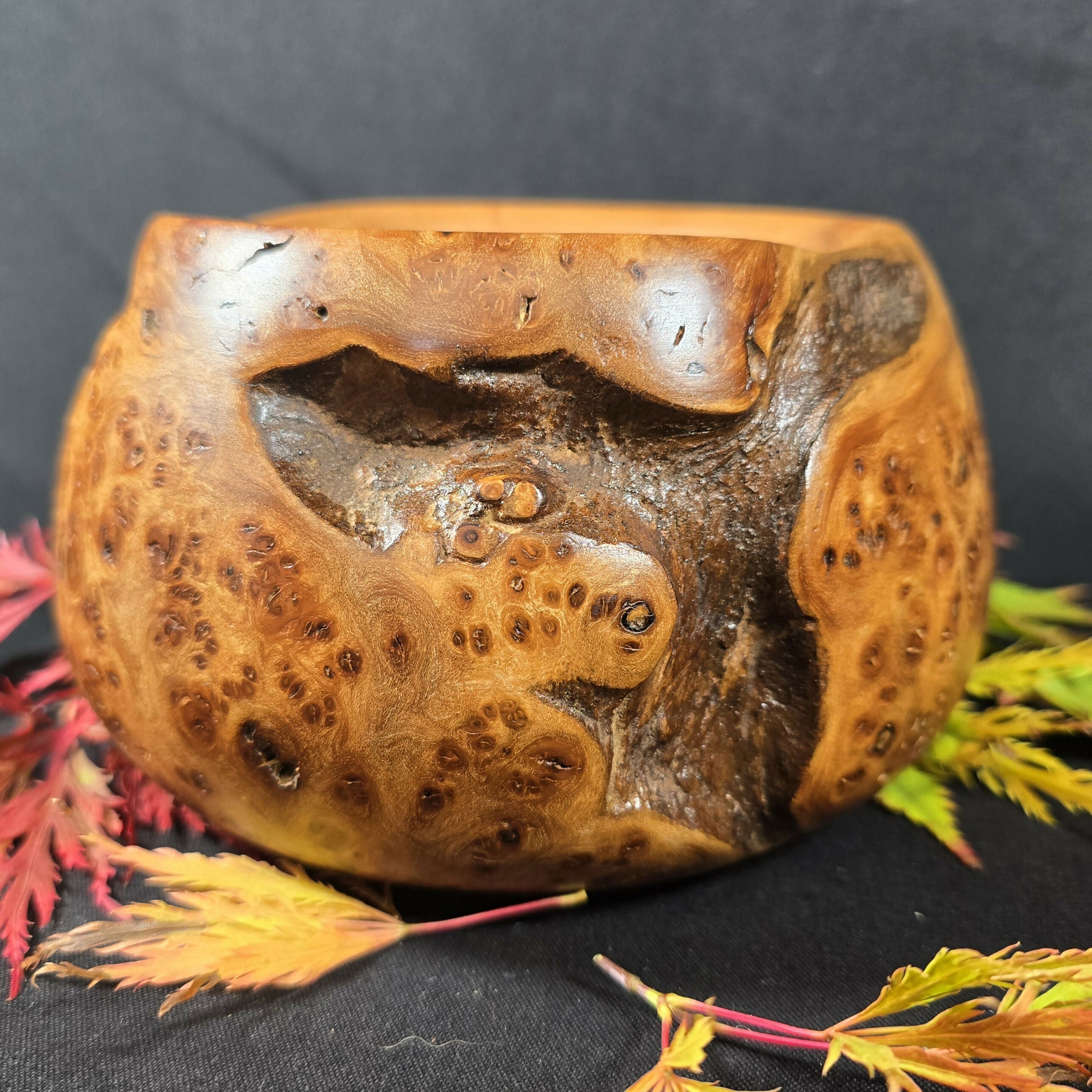 Hand Turned Unique Elm Burr Bowl