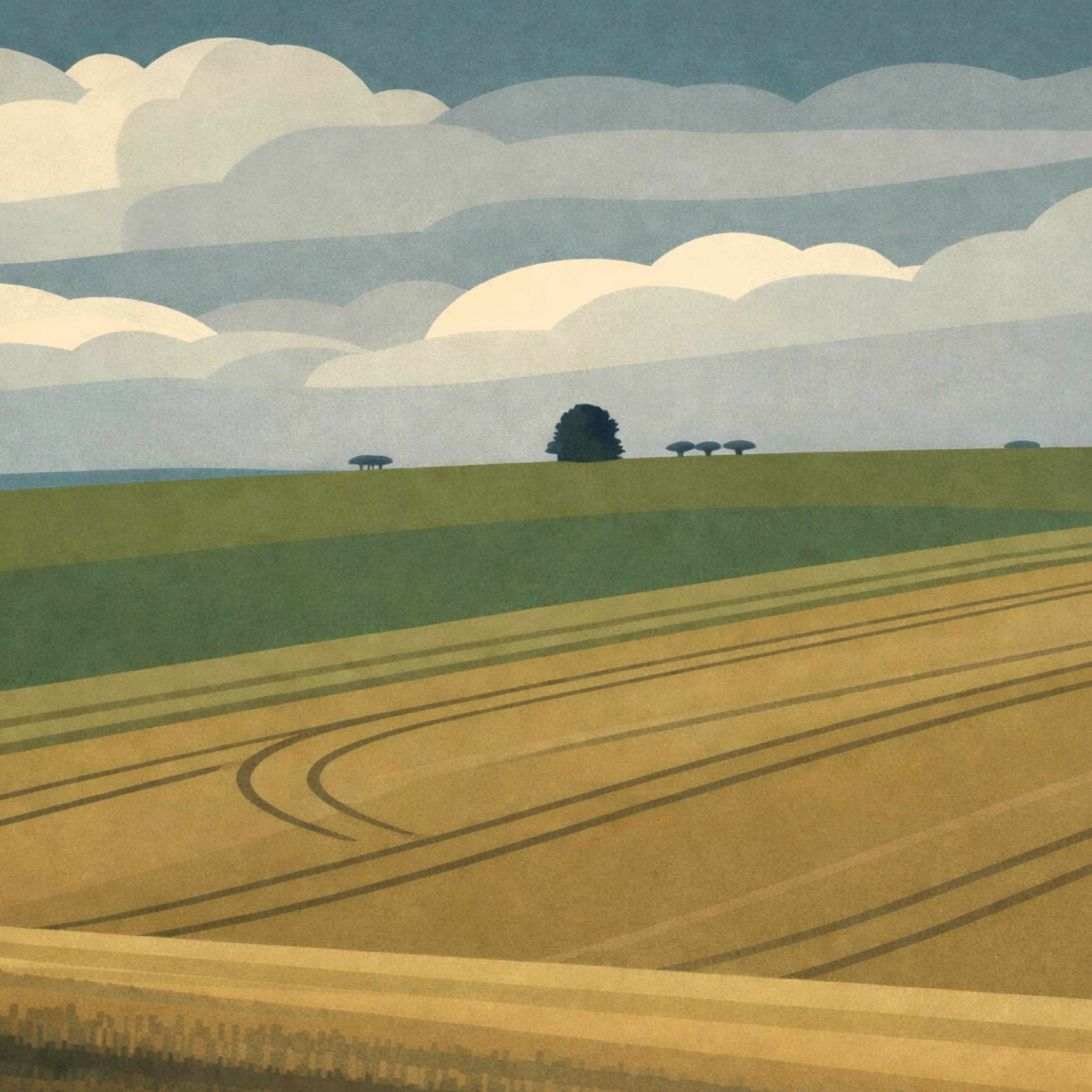 Yorkshire Wolds Tree : A4 Mounted Print In A3 Frame