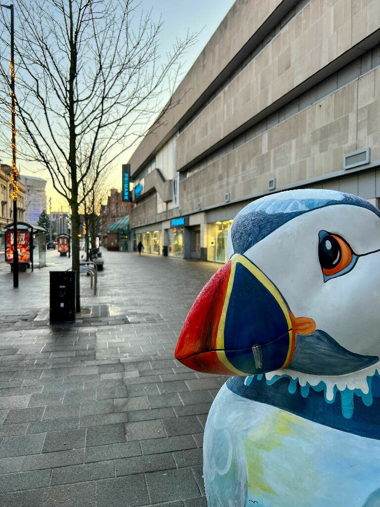 Puffin Freezing In Hull (27x33 frame)