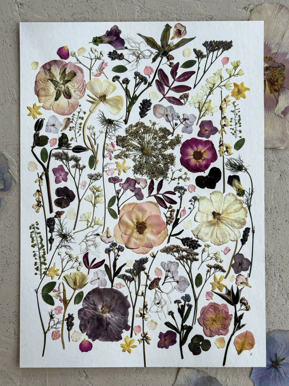 Pink & Purple Giclee Print A5