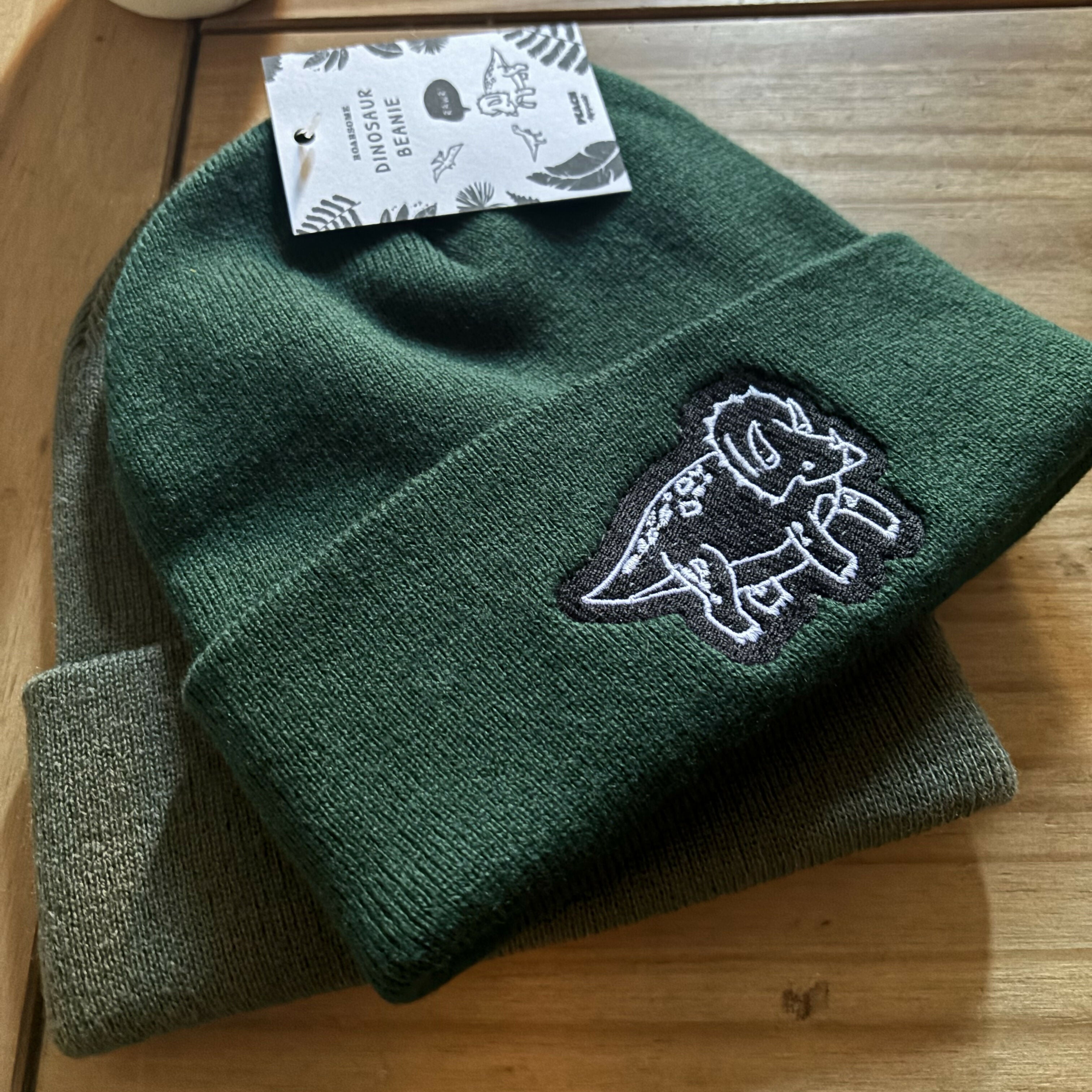 Dinosaur Embroidered Green Beanie Hat
