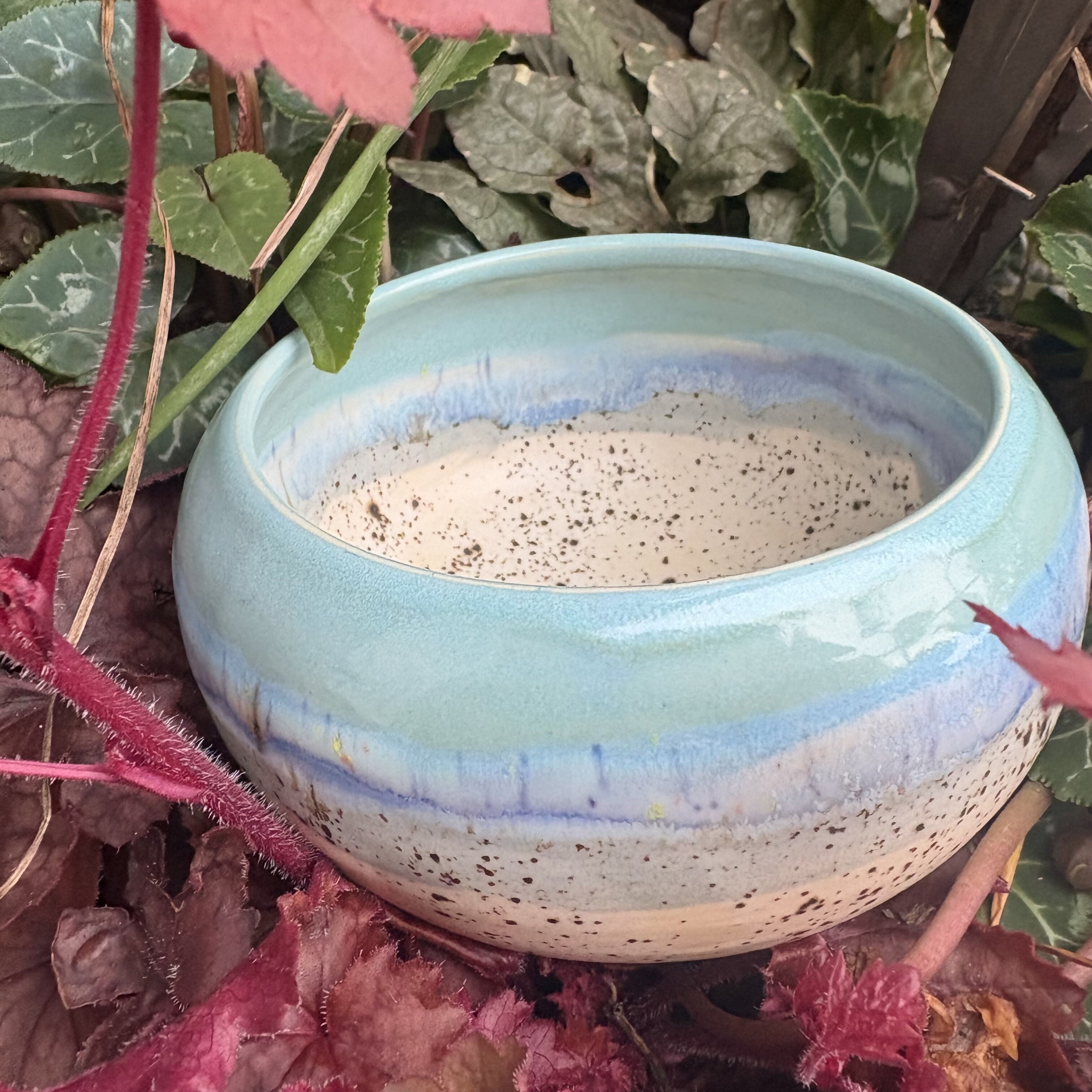 Speckled Beach Bowl