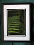 Forest Fern – A4 Print