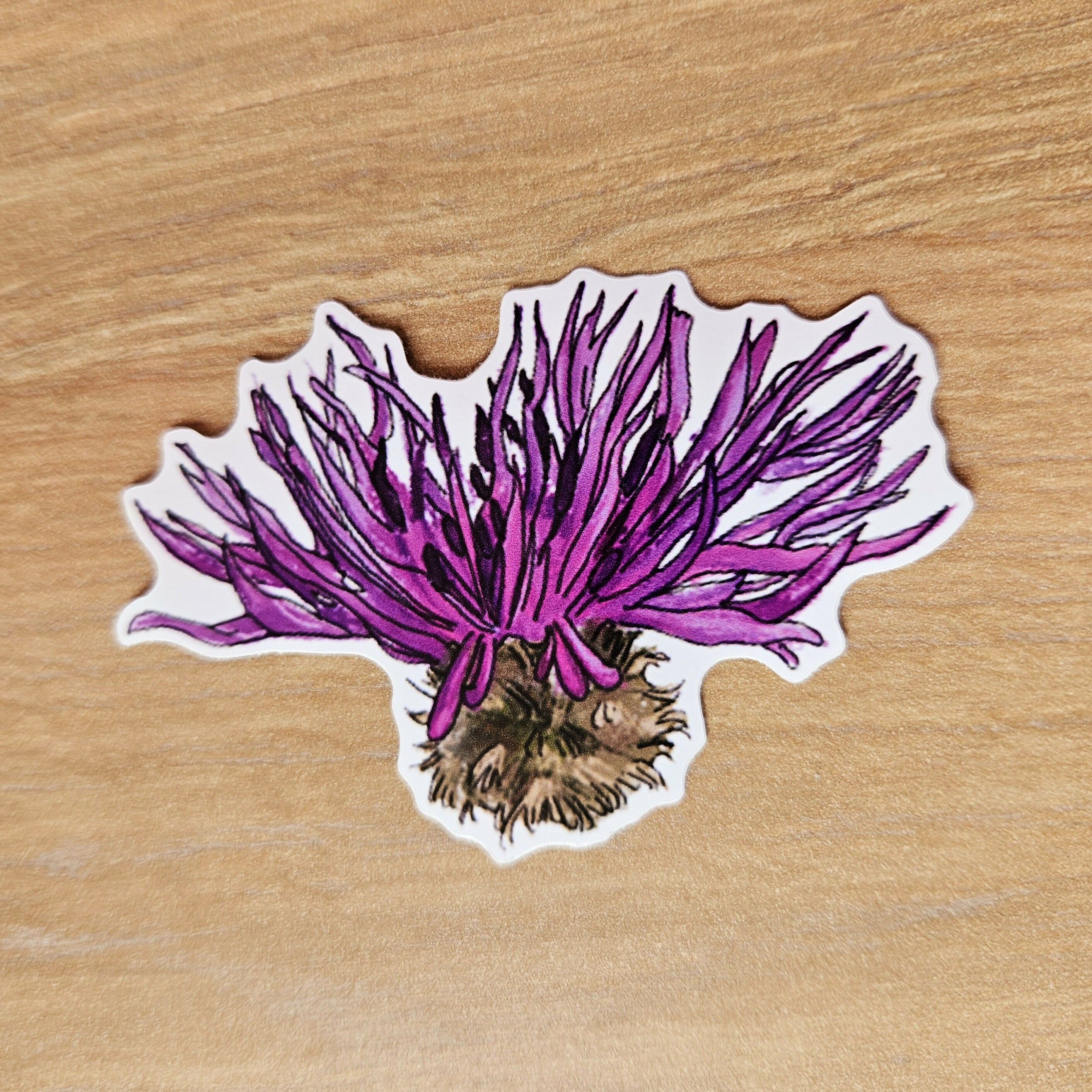 Yorkshire Wildflowers Vinyl Stickers