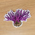 Yorkshire Wildflowers Vinyl Stickers