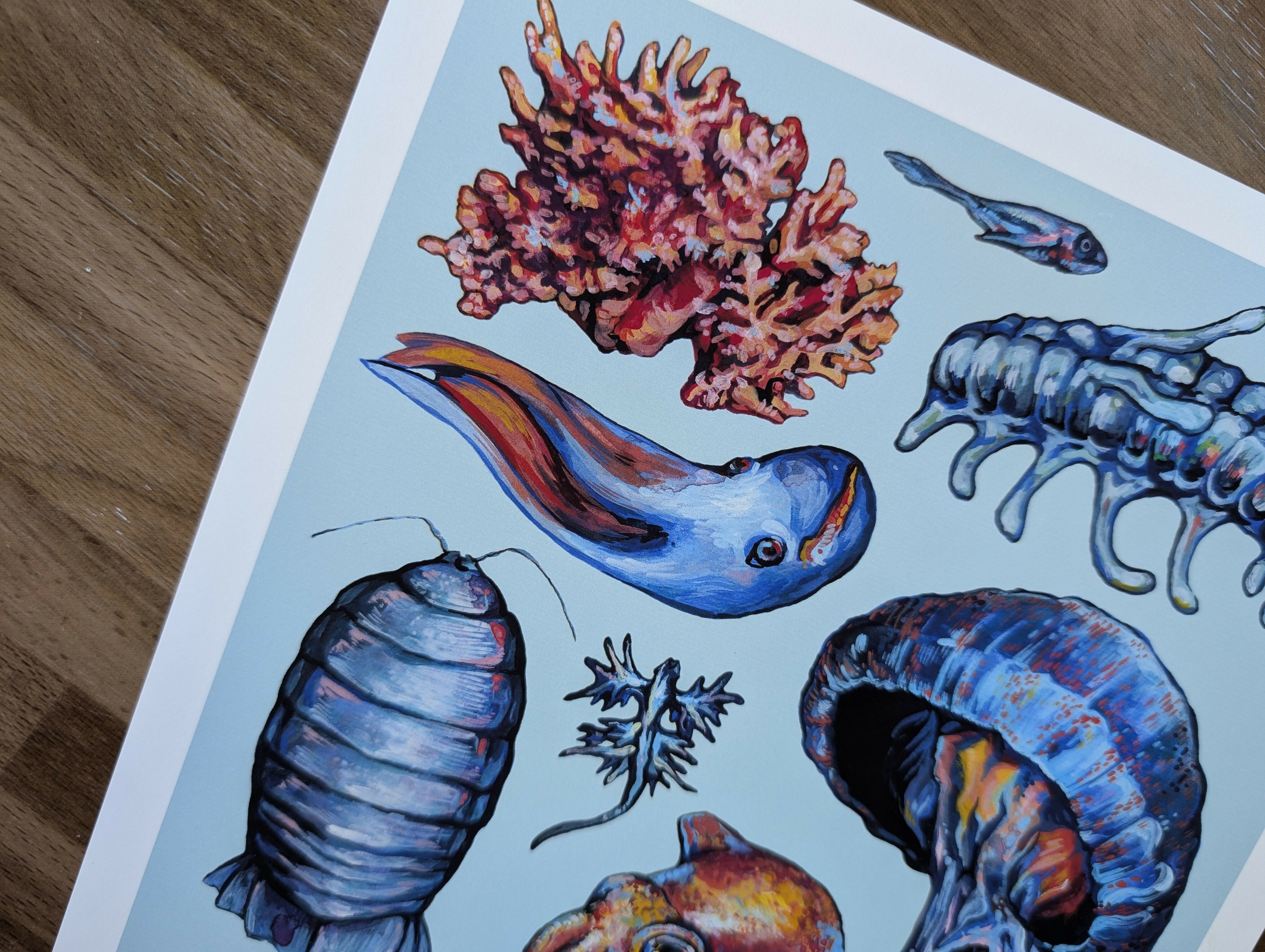 Deep Sea Creature Illustration
