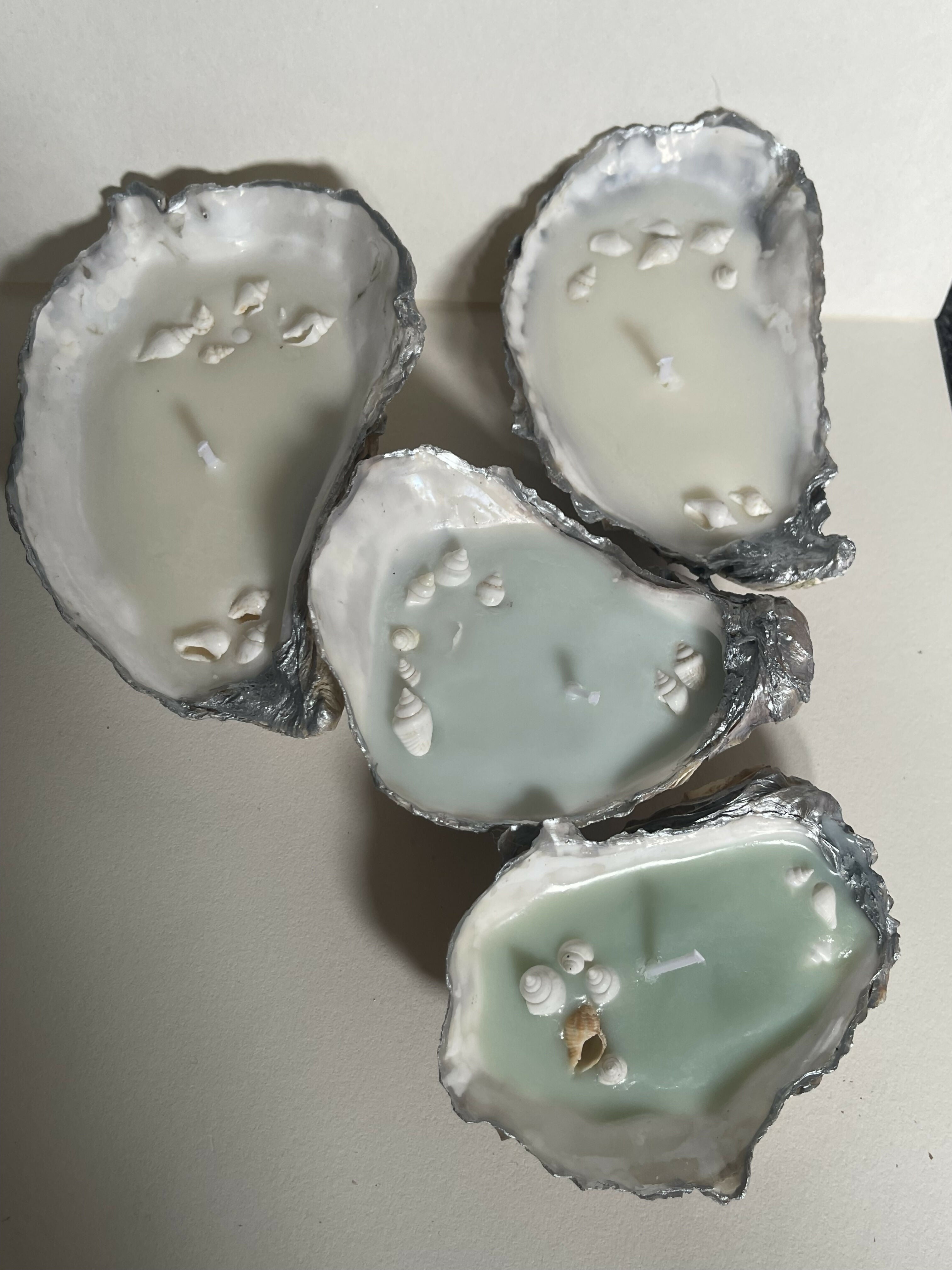 Oyster Shell Candle