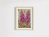 'Fox Glove' - A5 Giclée Print