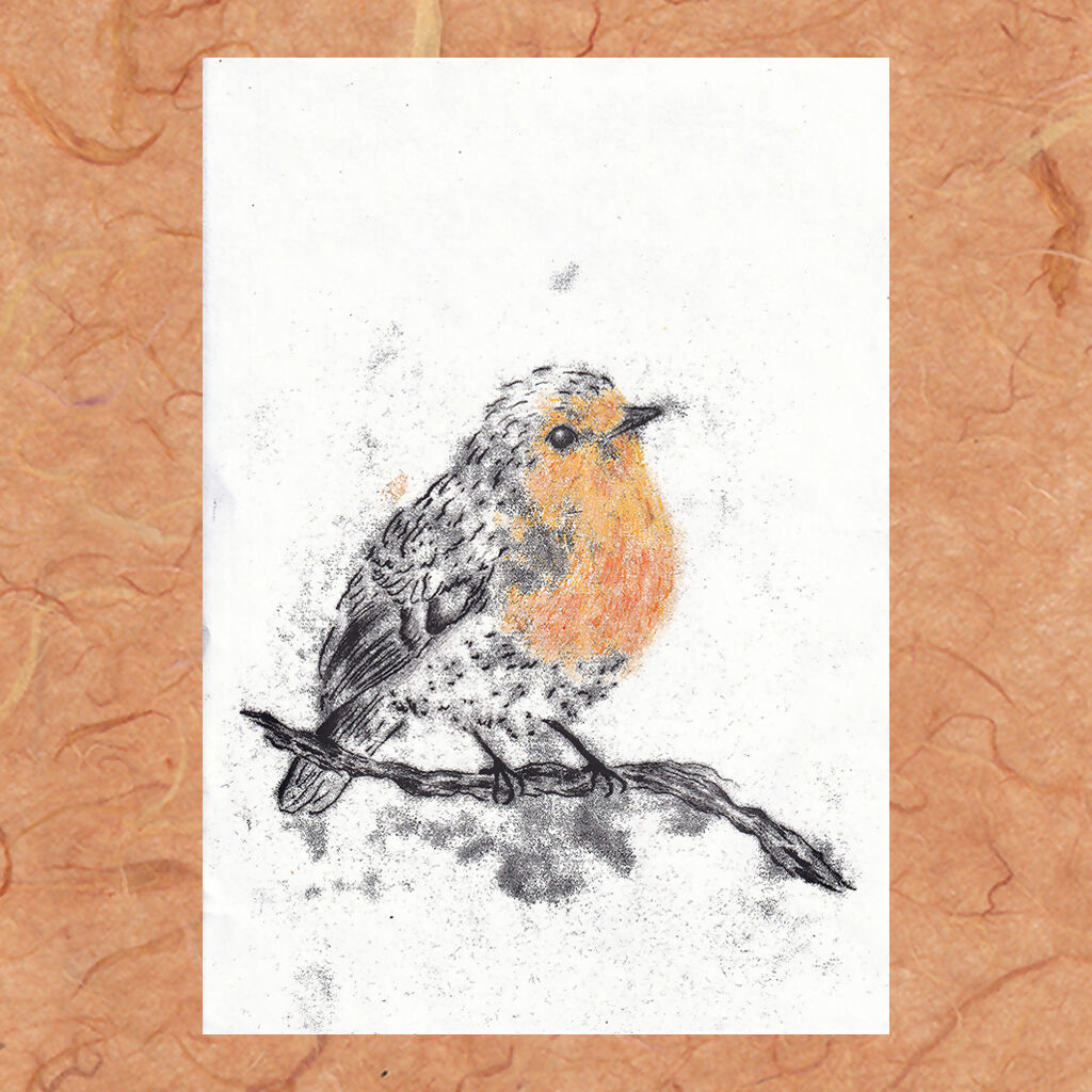 Robin A4 Original Monoprint