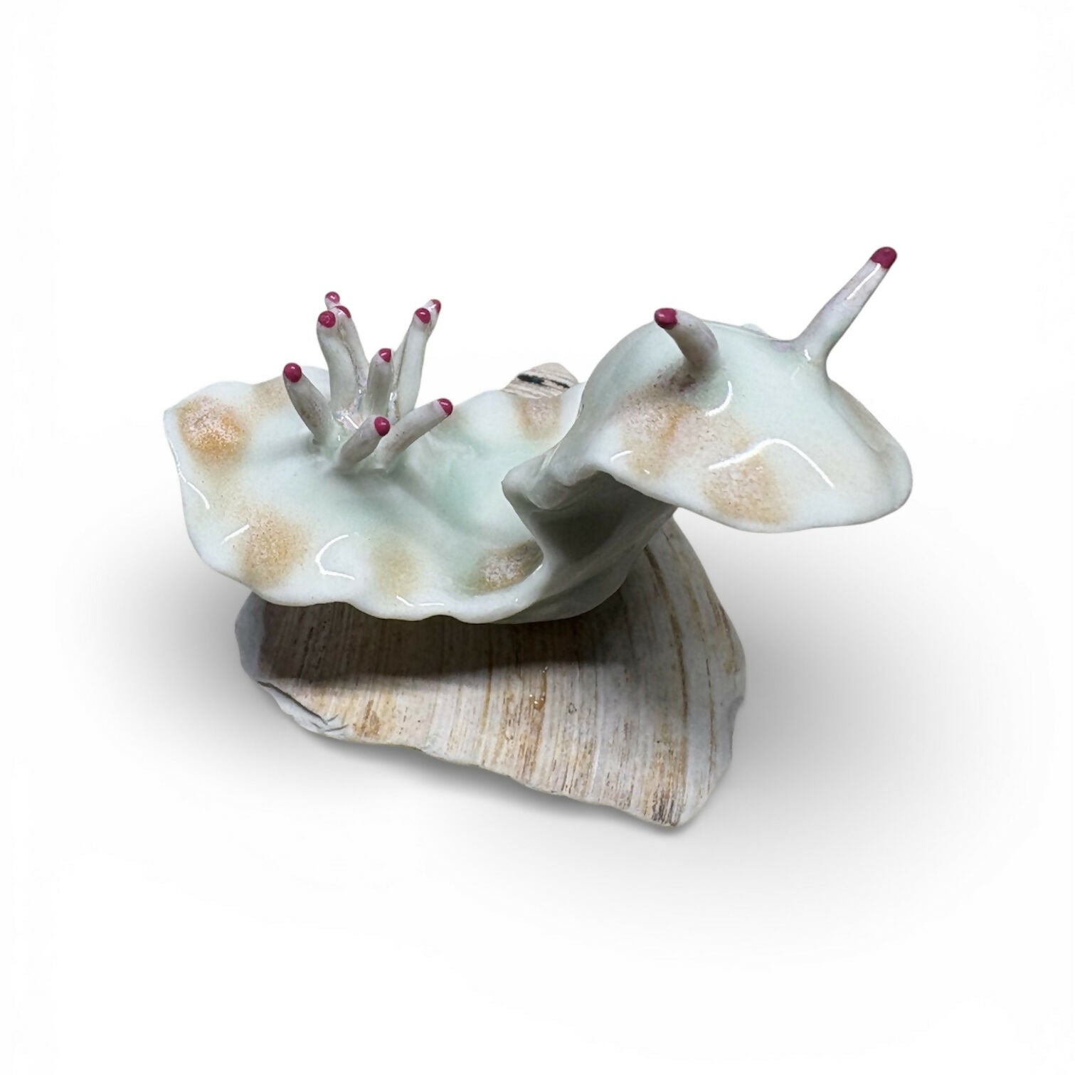 Sea Slug on a Shell Sculpture