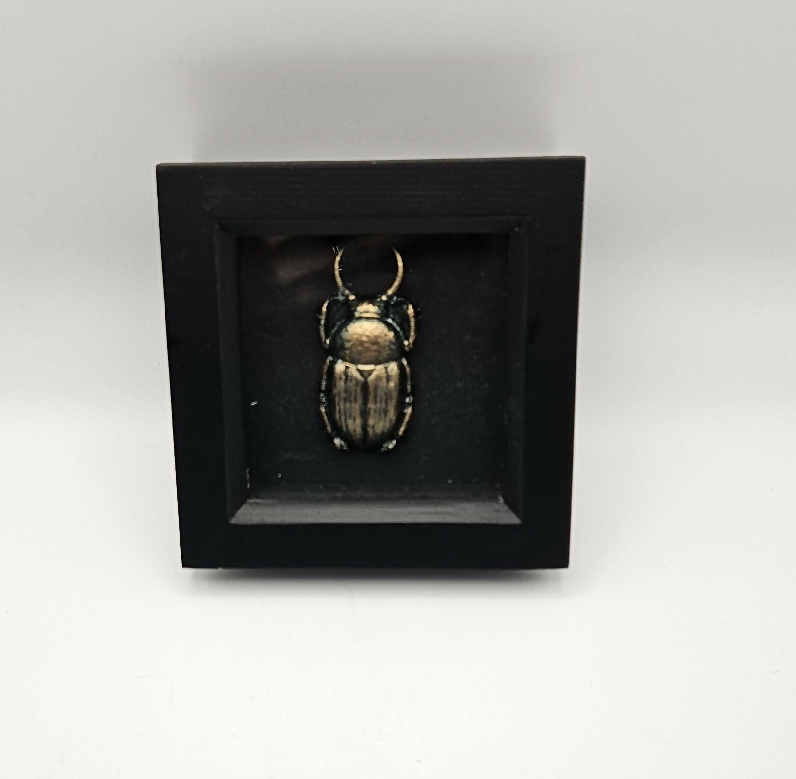 3d Mini Bug Art