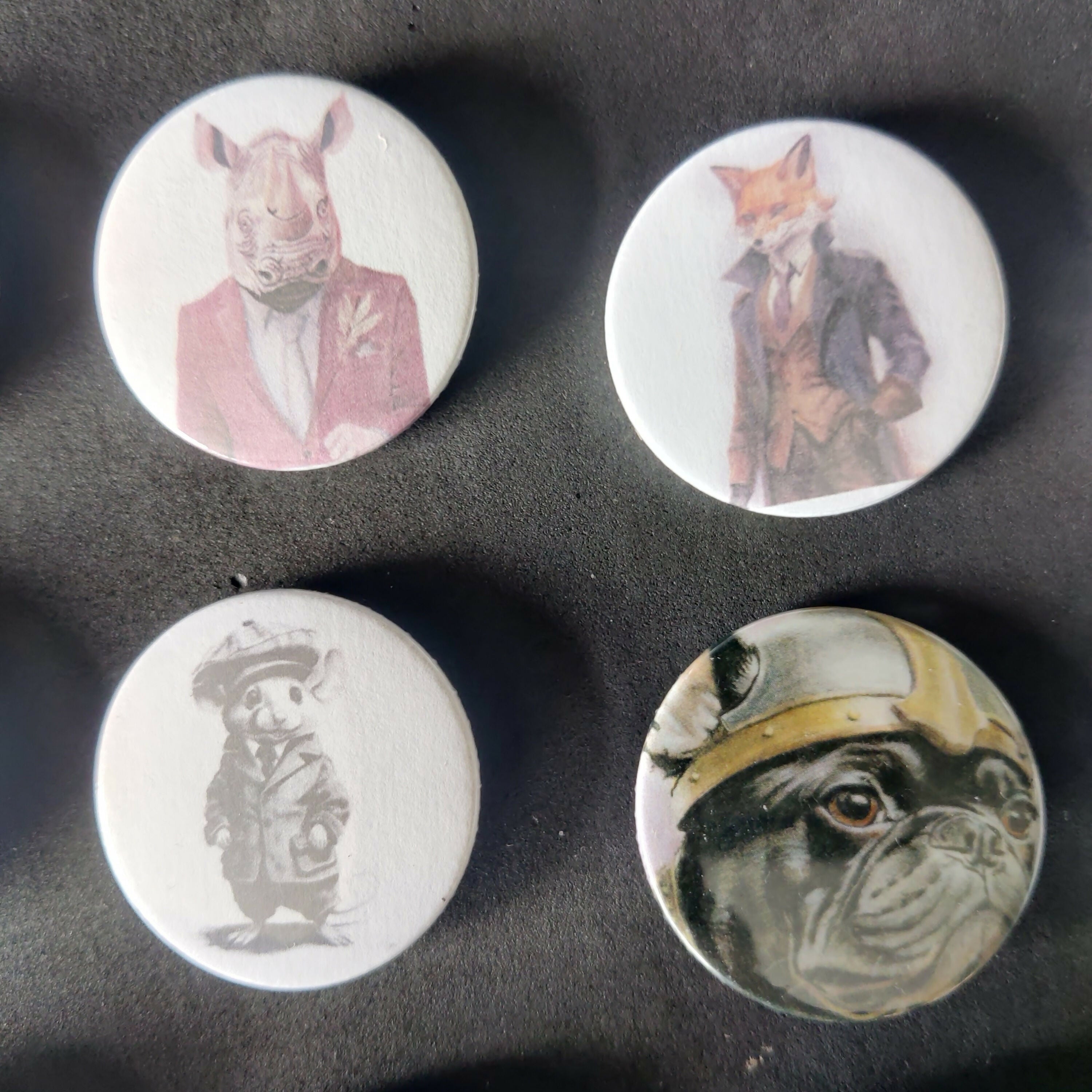 Animal Artwork Badges 36mm