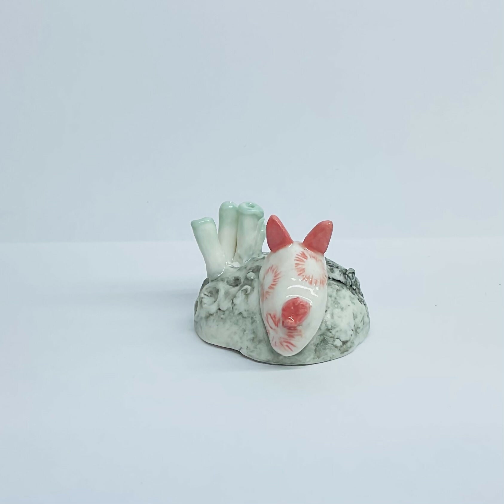 Porcelain Sea Bunny