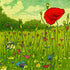 Spring Meadow