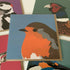 Robin Greetings Card