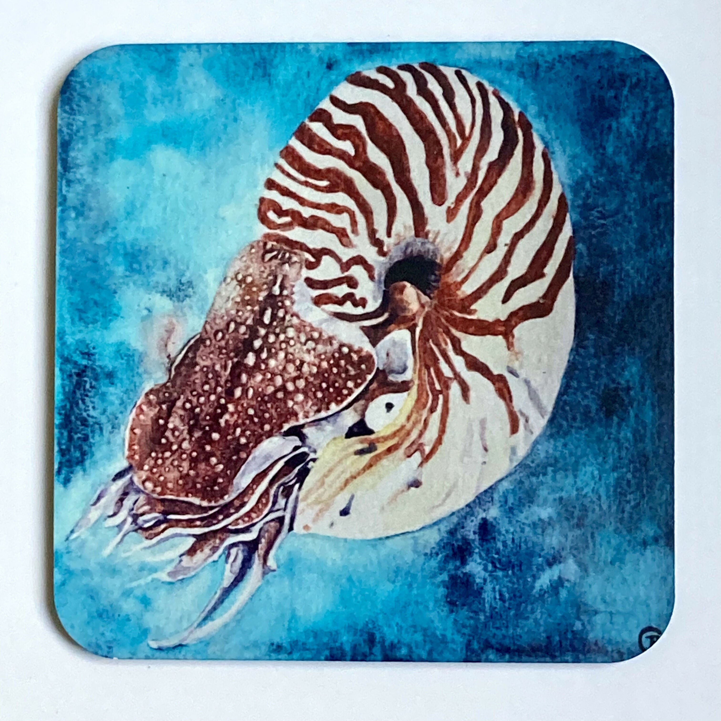 Nautilus - Coaster