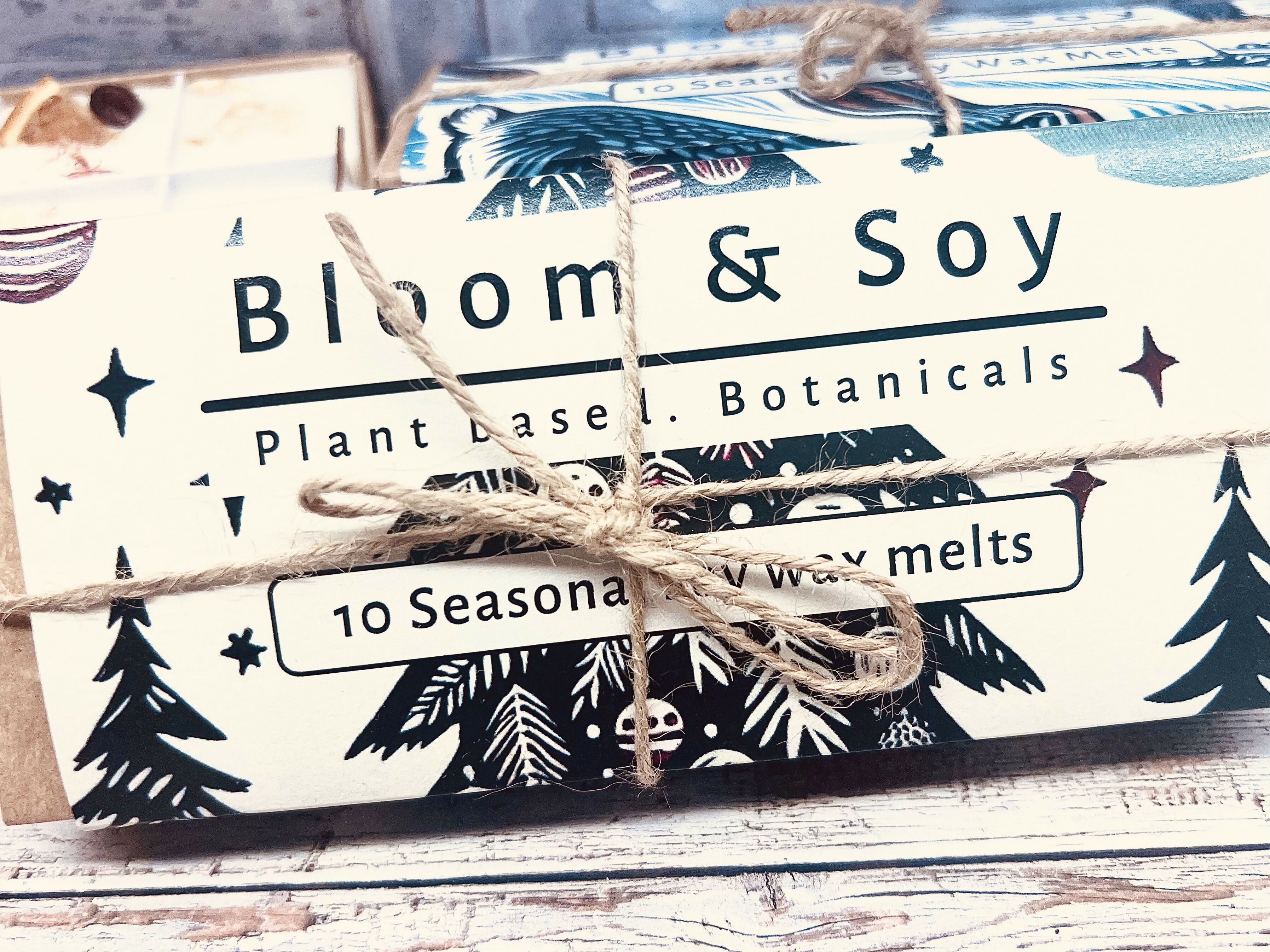 10 SEASONAL SOY WAX MELTS IN GIFT BOX