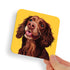 Spaniel Brown Dog Coaster