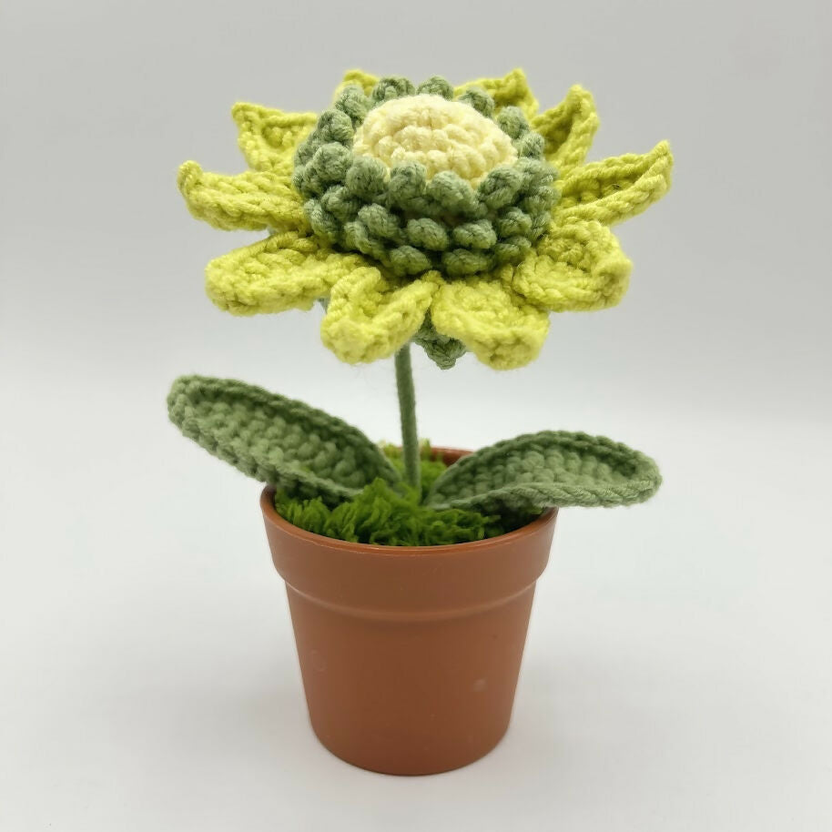 Pastel Coloured Crochet Sunflower in Faux Terracotta Pot