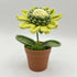 Pastel Coloured Crochet Sunflower in Faux Terracotta Pot
