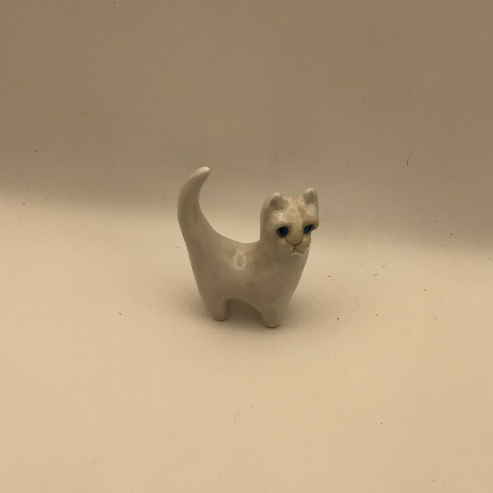 Little Snow Cat
